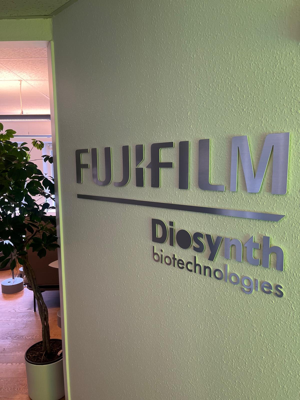 WhatsApp Image 2025-10-31 at 10.44.41 AM